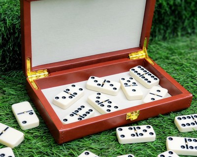 Dominoes Set in Leatherette Ca